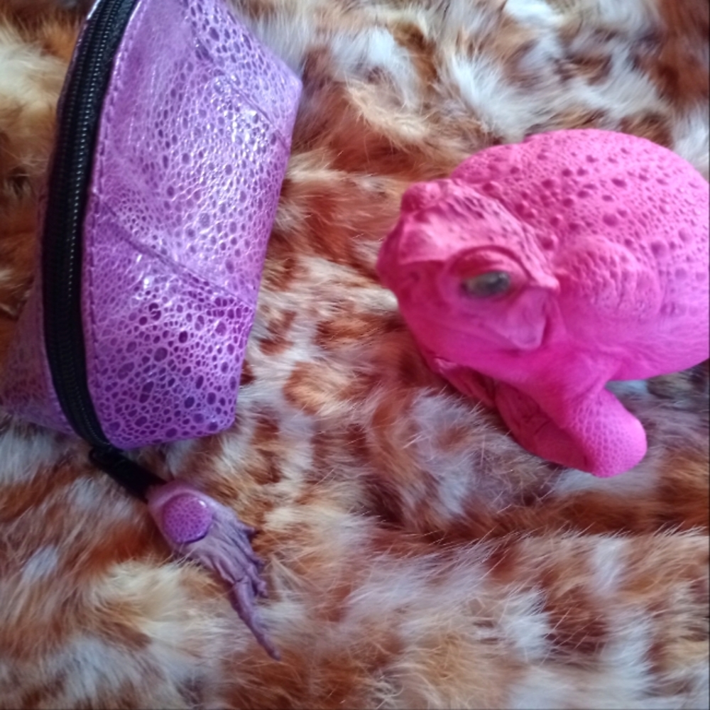 Genuine Cane Toad Pouch & Toad
